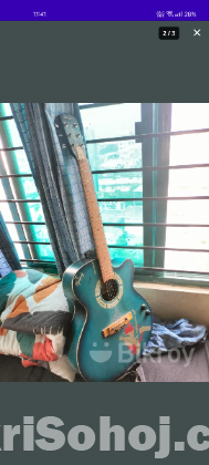 Guitar